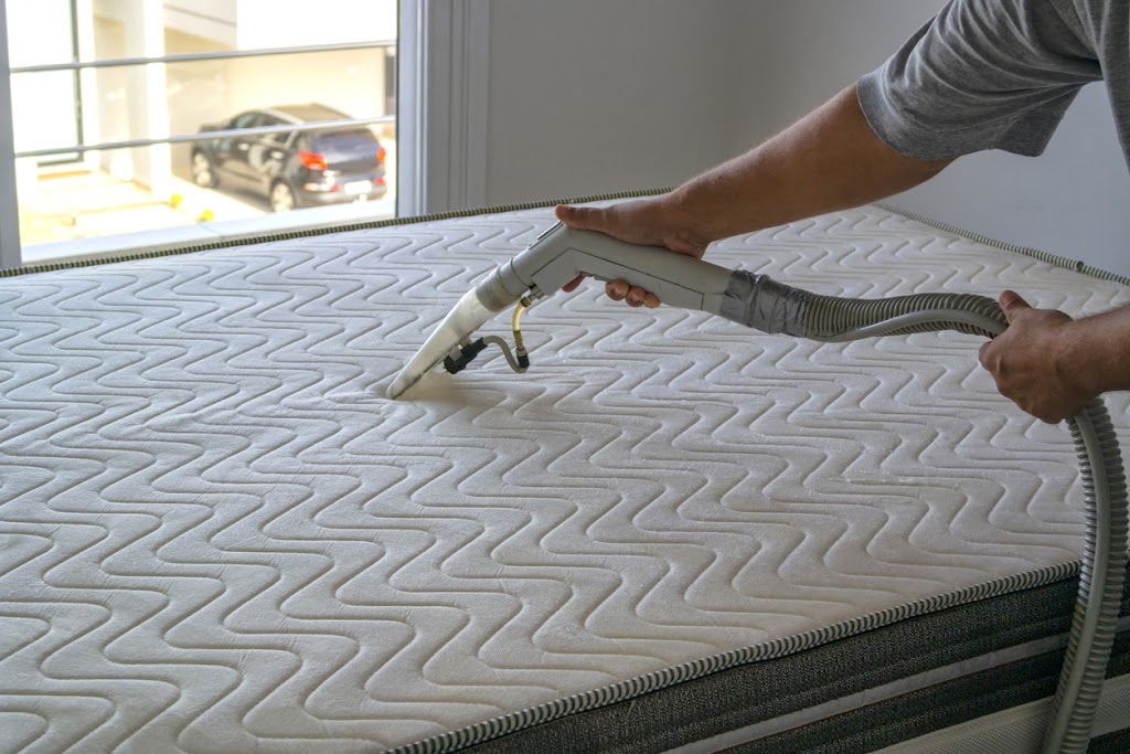 Urban West Carpet Cleaning | 8 Sunmount Gardens SE, Calgary, AB T2X 2B1, Canada | Phone: (587) 900-5353