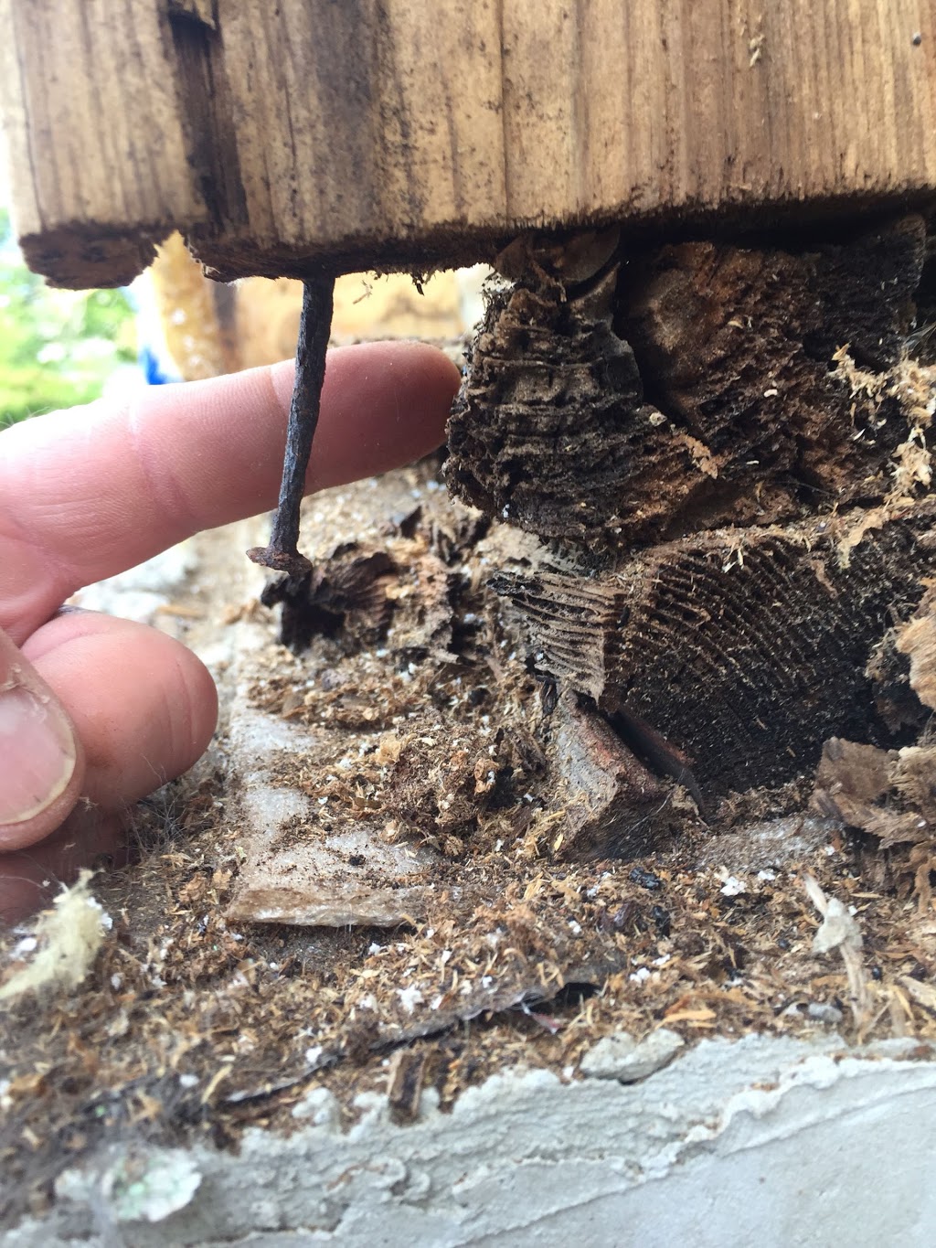 Paramount Pest Control | 212 Tivoli Private, Nepean, ON K2E 0A7, Canada | Phone: (613) 263-4357