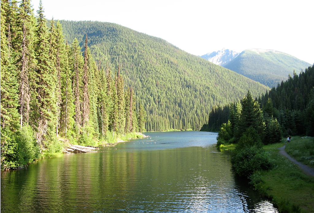 Deerview Lodge & Cabins | 398 BC-3, Princeton, BC V0X 1W0, Canada | Phone: (250) 295-0106