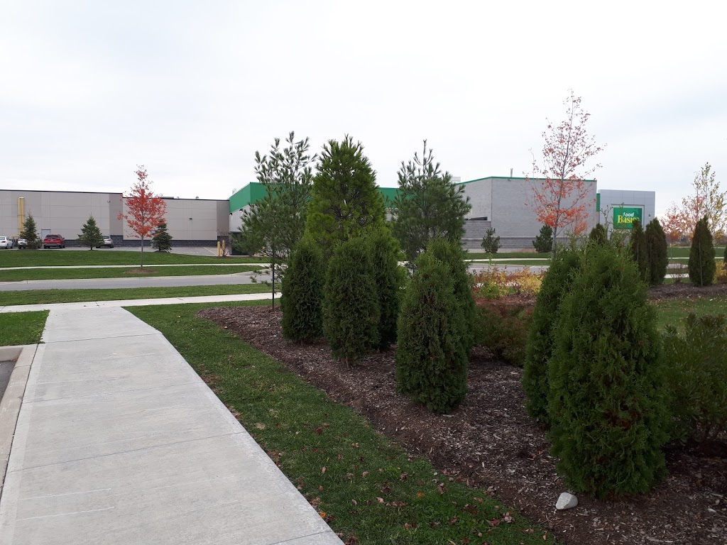 Wellspring Niagara | 50 Wellspring Way, Fonthill, ON L0S 1E6, Canada | Phone: (905) 684-7619