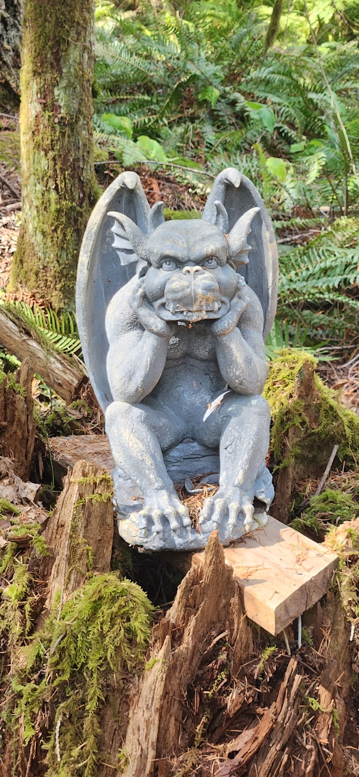 West Coast Chainsaw Artist | 4010 Forbidden Plateau Rd, Courtenay, BC B9J 1P9, Canada | Phone: (778) 992-1032
