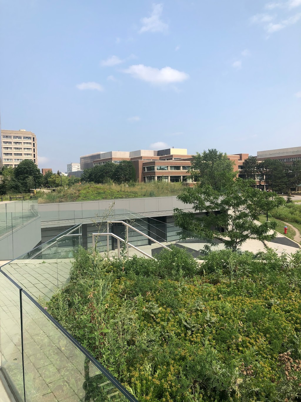 Lassonde School of Engineering | 204 Bergeron Centre, North York, ON M3J 2S5, Canada | Phone: (416) 736-2100