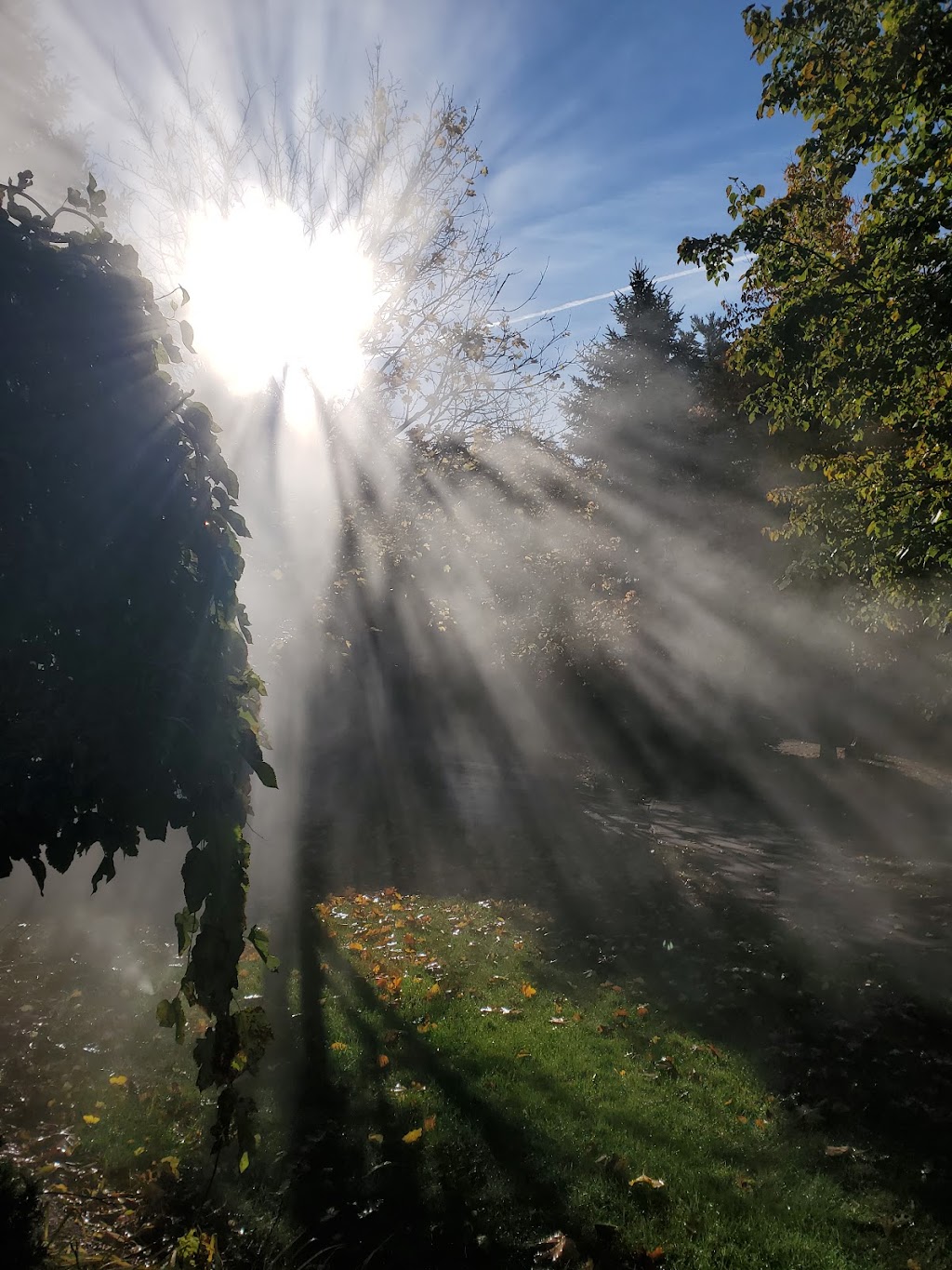 Pro-Tech Sprinkler Services | 70 Manitoba St, Guelph, ON N1E 3B9, Canada | Phone: (519) 827-4643