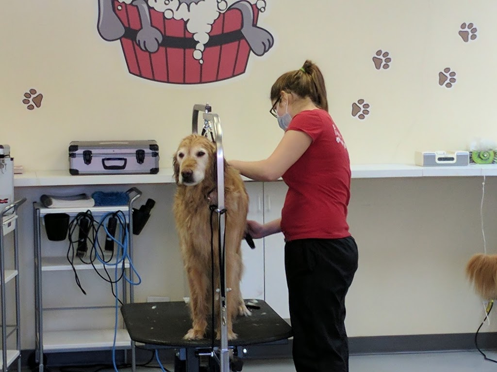 Paws in The Bath Dog Grooming | 1100 Gorham St #21, Newmarket, ON L3Y 8Y8, Canada | Phone: (905) 235-7227