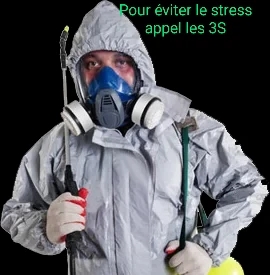 Les 3s gestion parasitaire inc. | 610 Rue Angus N, East Angus, QC J0B 1R0, Canada | Phone: (819) 640-4331