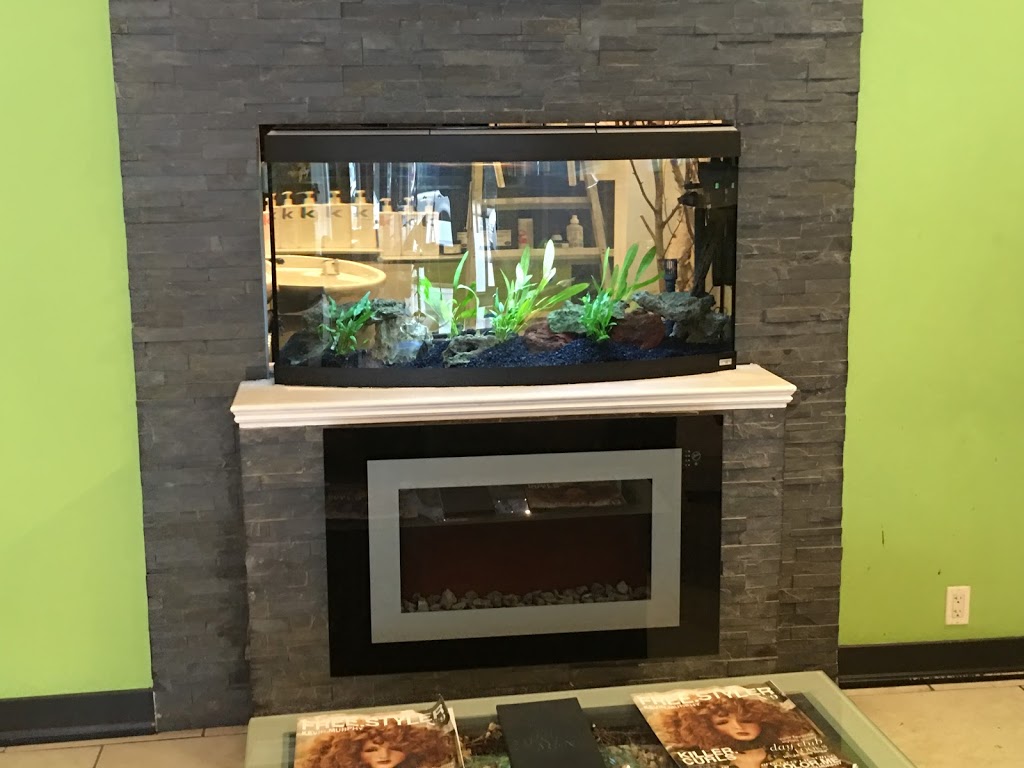 Canadian Marine Aquaculture | 945 Weston Rd, York, ON M6N 3R4, Canada | Phone: (647) 705-3523