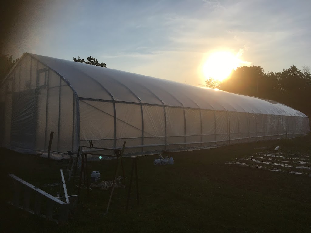 Ferme du Maple Ridge | 537 3e Rang O, Saint-Joachim-de-Shefford, QC J0E 2G0, Canada | Phone: (450) 204-9230