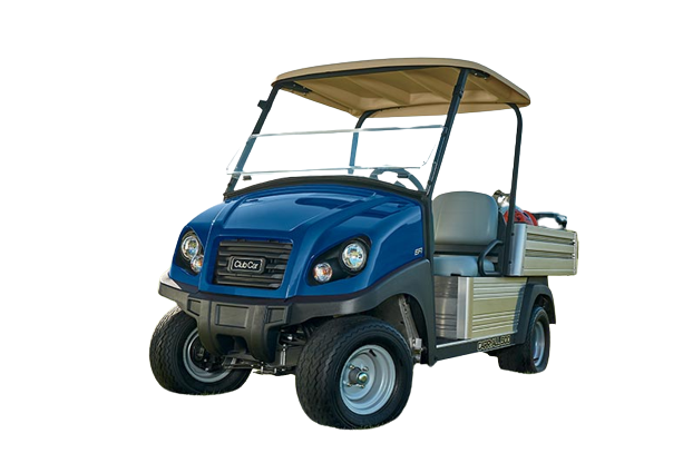 jacks golf carts | Inglis Falls Rd, Annan, ON N0H 1B0, Canada | Phone: (442) 777-3387