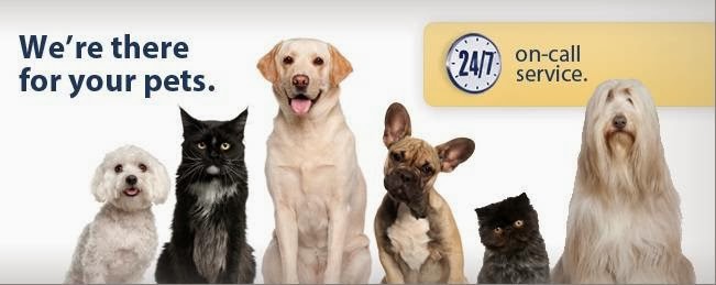 Town & Country Animal Hospital | 5208 Stouffville Rd, Whitchurch-Stouffville, ON L4A 7X5, Canada | Phone: (905) 640-4107
