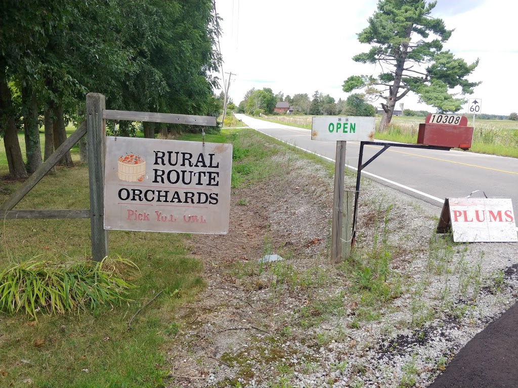 Rural Route Orchard | 10308 Fourth Line, Halton Hills, ON L9T 2X9, Canada | Phone: (905) 873-7687