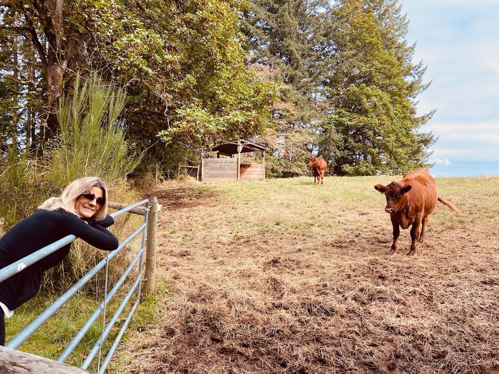 Hi-Point Hay Ltd. | 3590 Cavin Rd, Duncan, BC V9L 6T2, Canada | Phone: (250) 248-7773