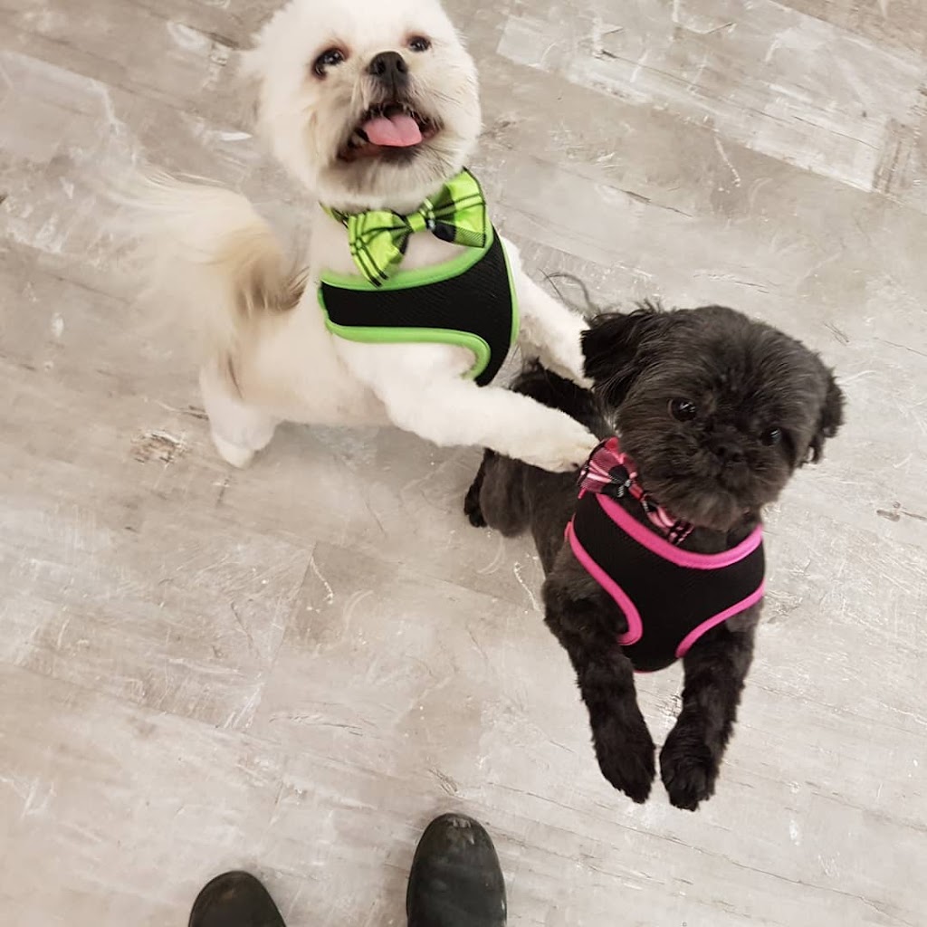Platinum Pooch Salon | 618 King St E #2, Kitchener, ON N2G 2M1, Canada | Phone: (226) 789-0130