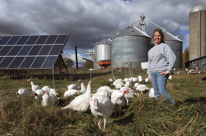 RC Organic Farms | 2022, 37400 30 Mile Rd, New Haven, MI 48050, USA | Phone: (989) 550-5223