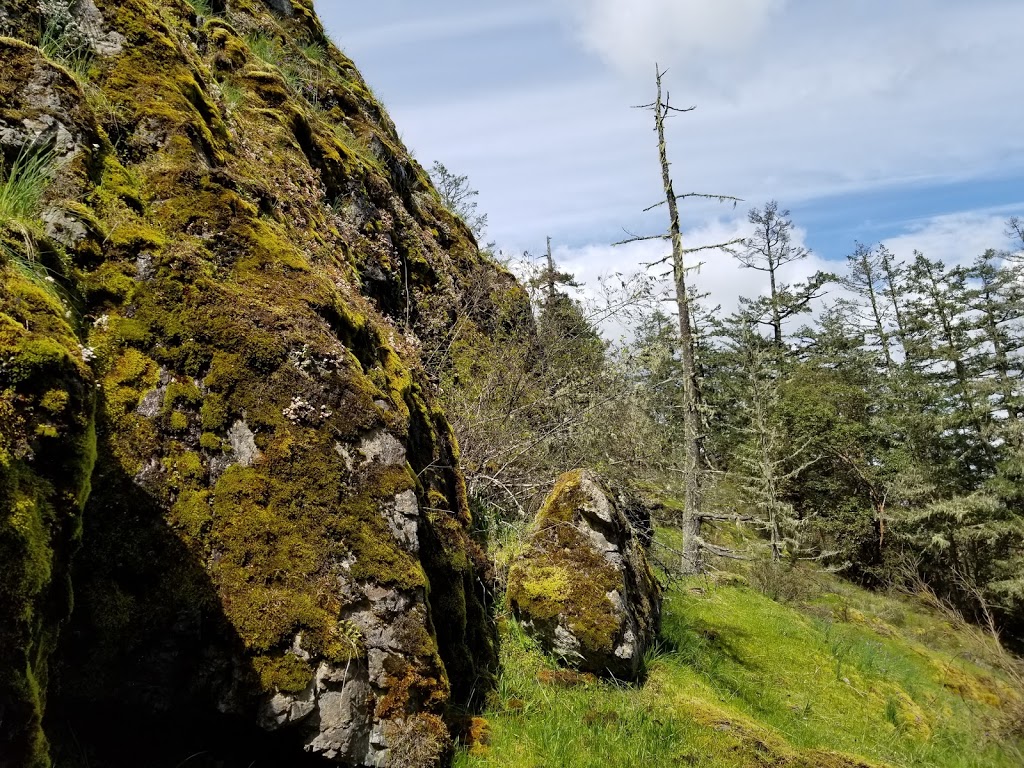 Mt. McDonald Trailhead | Humpback Rd, Victoria, BC V9B, Canada