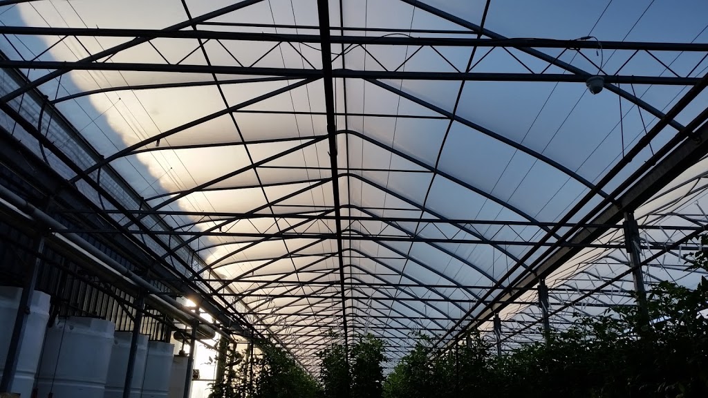 Greenhouse Depot Inc. | 1634 Seacliff Dr, Kingsville, ON N9Y 2M6, Canada | Phone: (519) 322-1072