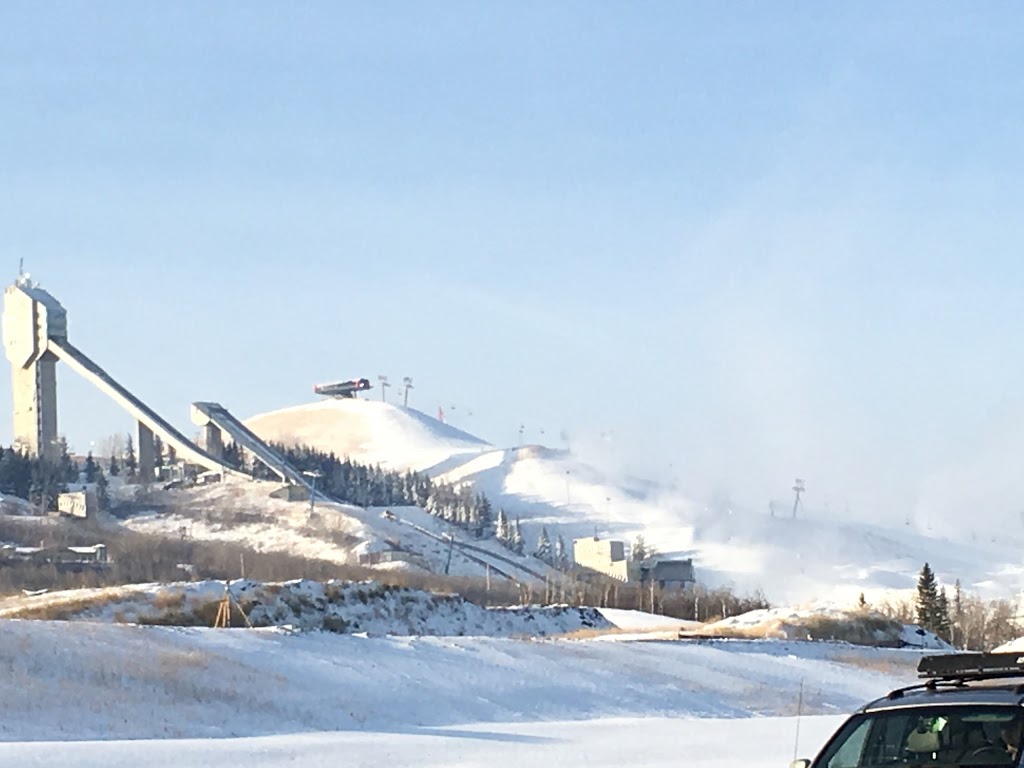 Sentinel Storage - Calgary West | 2 Bowridge Dr NW, Calgary, AB T3B 2T9, Canada | Phone: (403) 288-6044