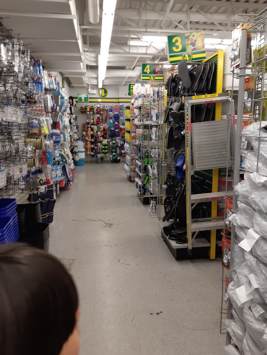 Dollarama | 8520 Boulevard Lacordaire, Saint-Léonard, QC H1R 2A5, Canada | Phone: (514) 327-0610