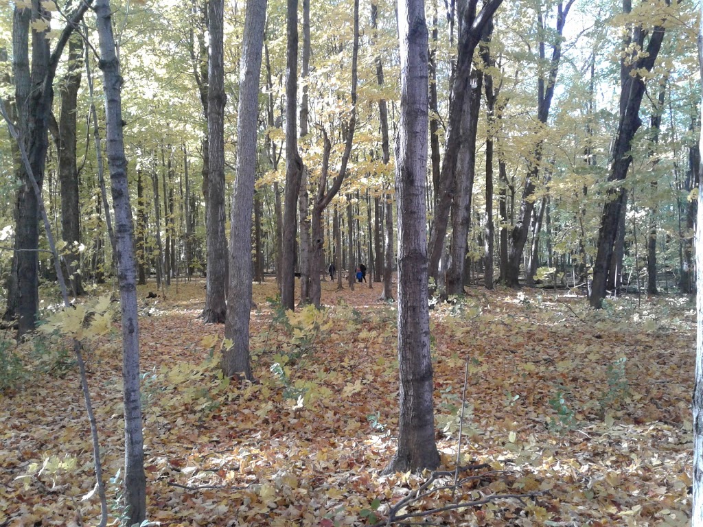 Meadowbrook park | Kingston, ON K7M 8A7, Canada