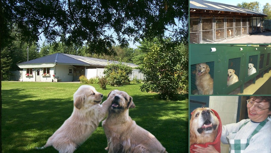 Chenil Lac Brome Kennel | 28 Chemin Barnes, West Brome, QC J0E 2P0, Canada | Phone: (450) 243-5587