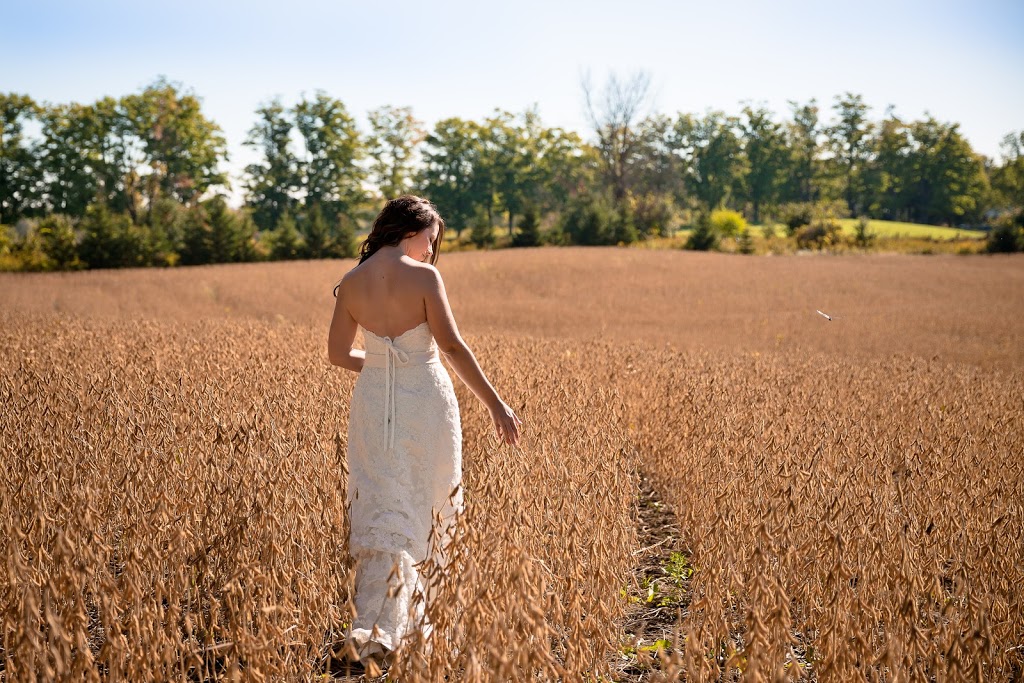 Pixel Light Studios | Stonecairn Dr, Cambridge, ON N1T 1X1, Canada | Phone: (519) 500-3036