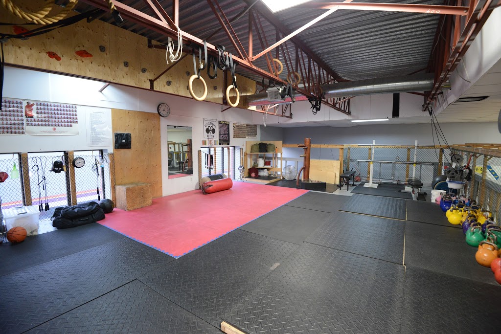 Zirger Academy | 927 Dupont St, Toronto, ON M6H 1Z1, Canada | Phone: (416) 892-9529