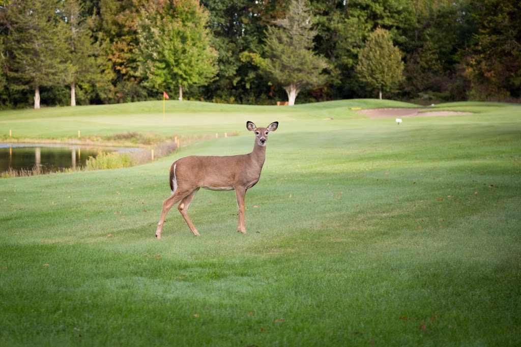 Garrison Golf & Curling Club | 12 Red Patch Ave, Kingston, ON K7K 7B4, Canada | Phone: (613) 546-4952