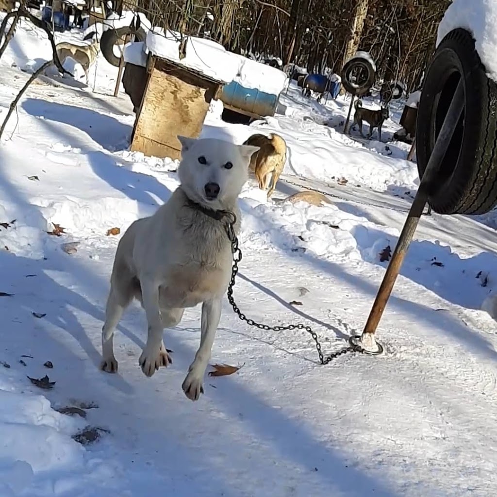 Windrift Adventures | 5753 8 Line N, Moonstone, ON L0K 1N0, Canada | Phone: (705) 325-0919