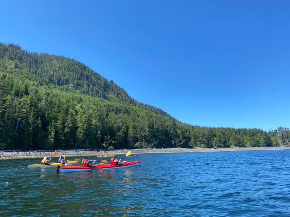 Kayak Tours Campbell River | 1811 Surgenor Rd, Black Creek, BC V9J 1G6, Canada | Phone: (250) 337-5717