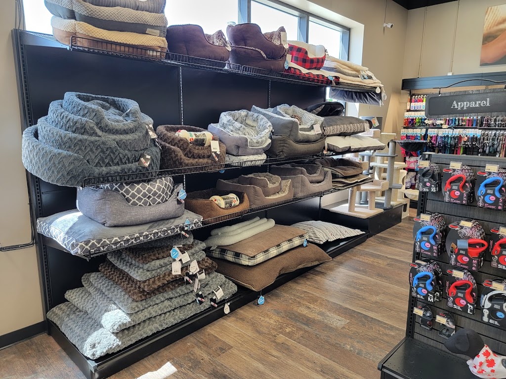 Pet Valu | 816 Ojibway Rd Building C, Unit 1, Shelburne, ON L9V 3X9, Canada | Phone: (519) 925-8845