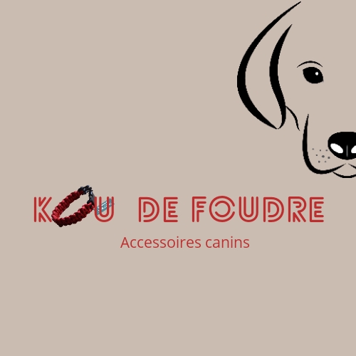 Kou de Foudre | store | 101 4e Rang S, Saint-Jean-sur-Richelieu, QC J2X 5V1, Canada | 4503692361 OR +1 450-369-2361