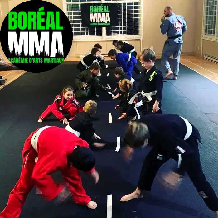 Boréal MMA | 941 QC-347, Saint-Côme, QC J0K 2B0, Canada | Phone: (514) 968-7703