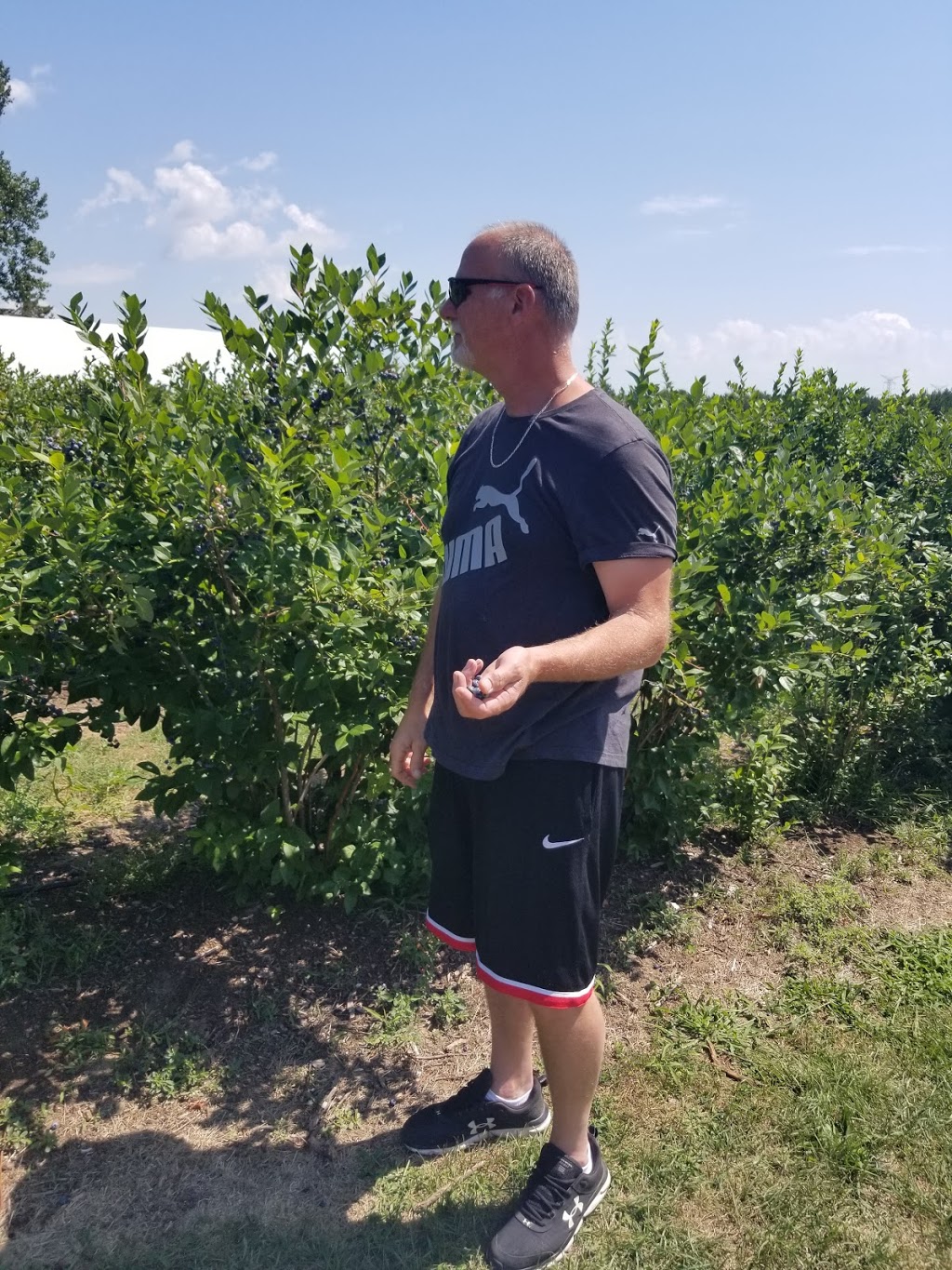 Codrington Farmers Market | 2992 County Rd 30, Codrington, ON K0K 1R0, Canada | Phone: (613) 475-4005