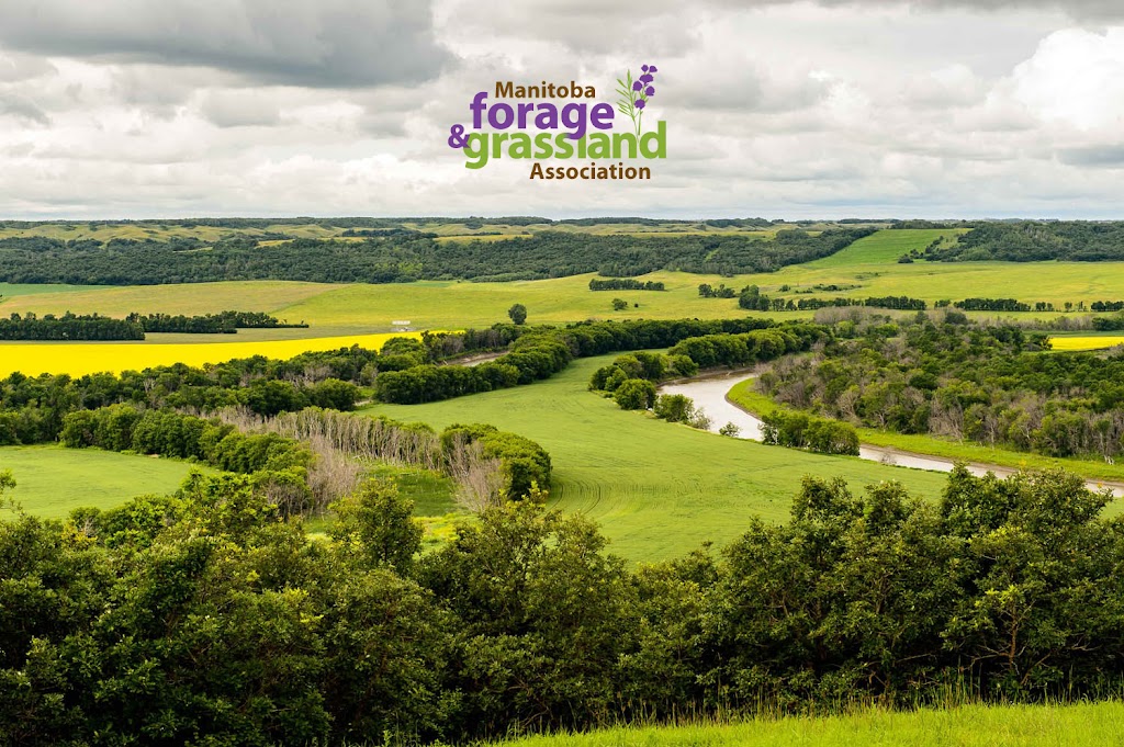 Manitoba Forage & Grassland Association | 145 Edstan Pl, Selkirk, MB R1A 2E8, Canada | Phone: (204) 770-3548