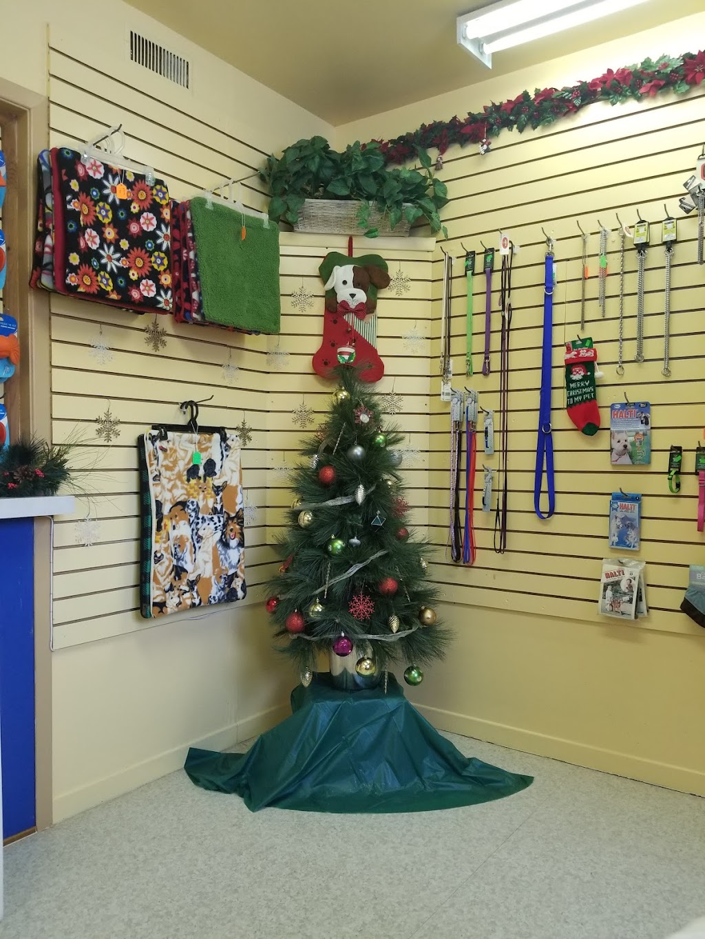 Paw Shoppe & Kennel | 662 Gondola Point Rd, Quispamsis, NB E2E 1L7, Canada | Phone: (506) 847-8812