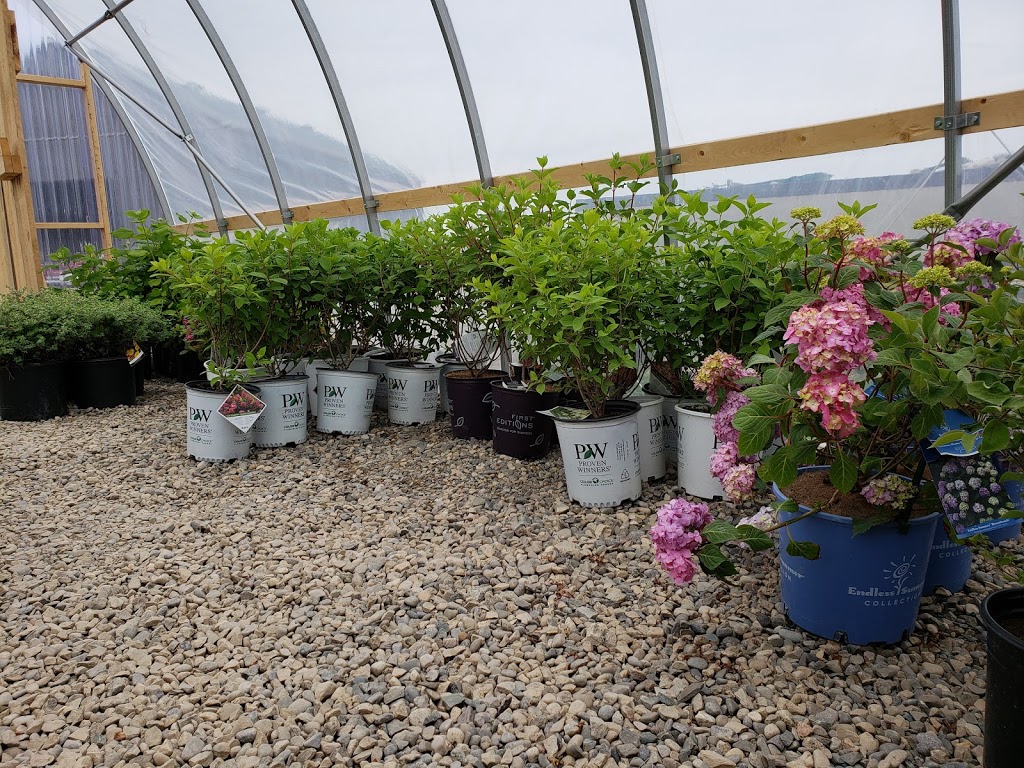 Miss Haynes Garden Soil | 352021 17 Line, East Garafraxa, ON L9W 7E1, Canada | Phone: (519) 940-6732