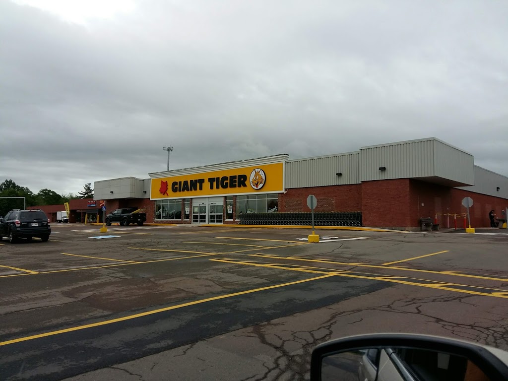 giant-tiger-720-coverdale-rd-riverview-nb-e1b-3l8-canada