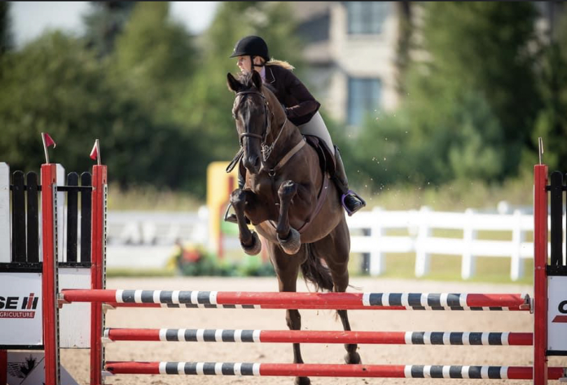 QUASAR EQUESTRIAN LTD. | 890 Davis Dr W, Newmarket, ON L3Y 4V9, Canada | Phone: (905) 252-6177