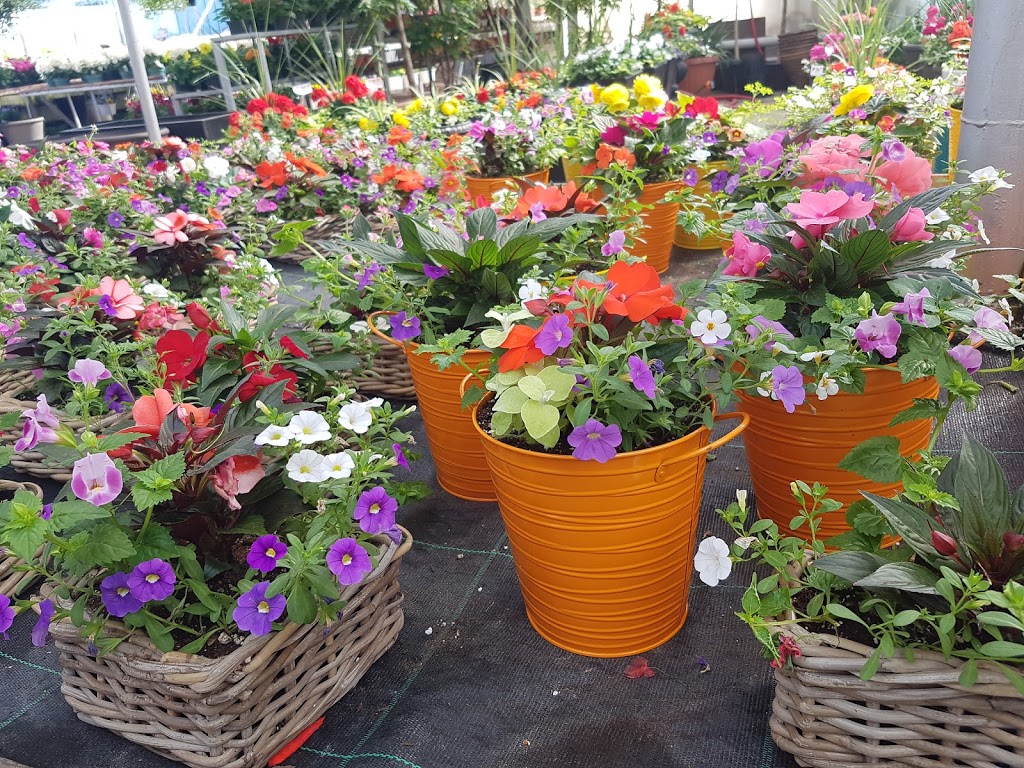 Seaway Farms | 175 Lakeshore Rd, Niagara-on-the-Lake, ON L0S 1J0, Canada | Phone: (905) 934-5066