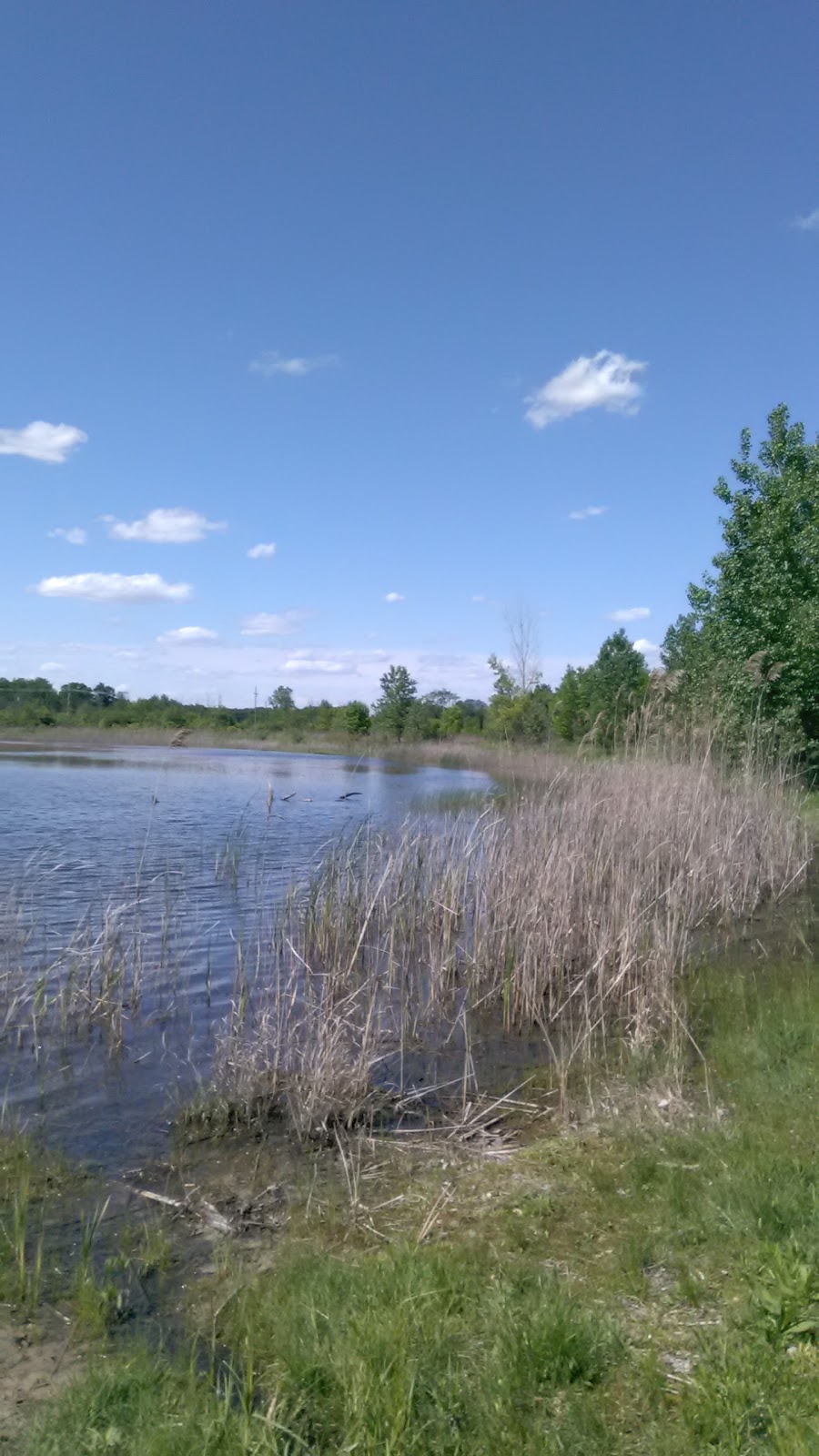 Wetzel State Recreation Area | 27 Mile Rd, New Haven, MI 48048, USA | Phone: (810) 765-5605