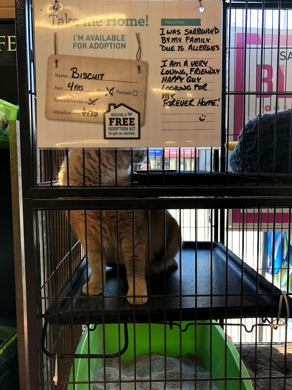 Pet Valu | 2210 Queen St E, Toronto, ON M4E 1E7, Canada | Phone: (416) 693-4456