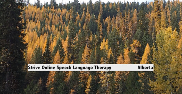 Strive Online Speech Language Therapy | 1062 Township Rd 364, Red Deer County, AB T4G 0H5, Canada | Phone: (403) 350-0345