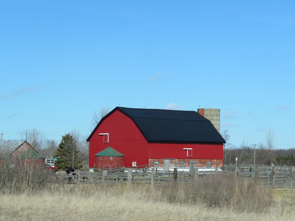 Taymor Farms | 609 Courtright Line, Courtright, ON N0N 1H0, Canada | Phone: (519) 867-3000