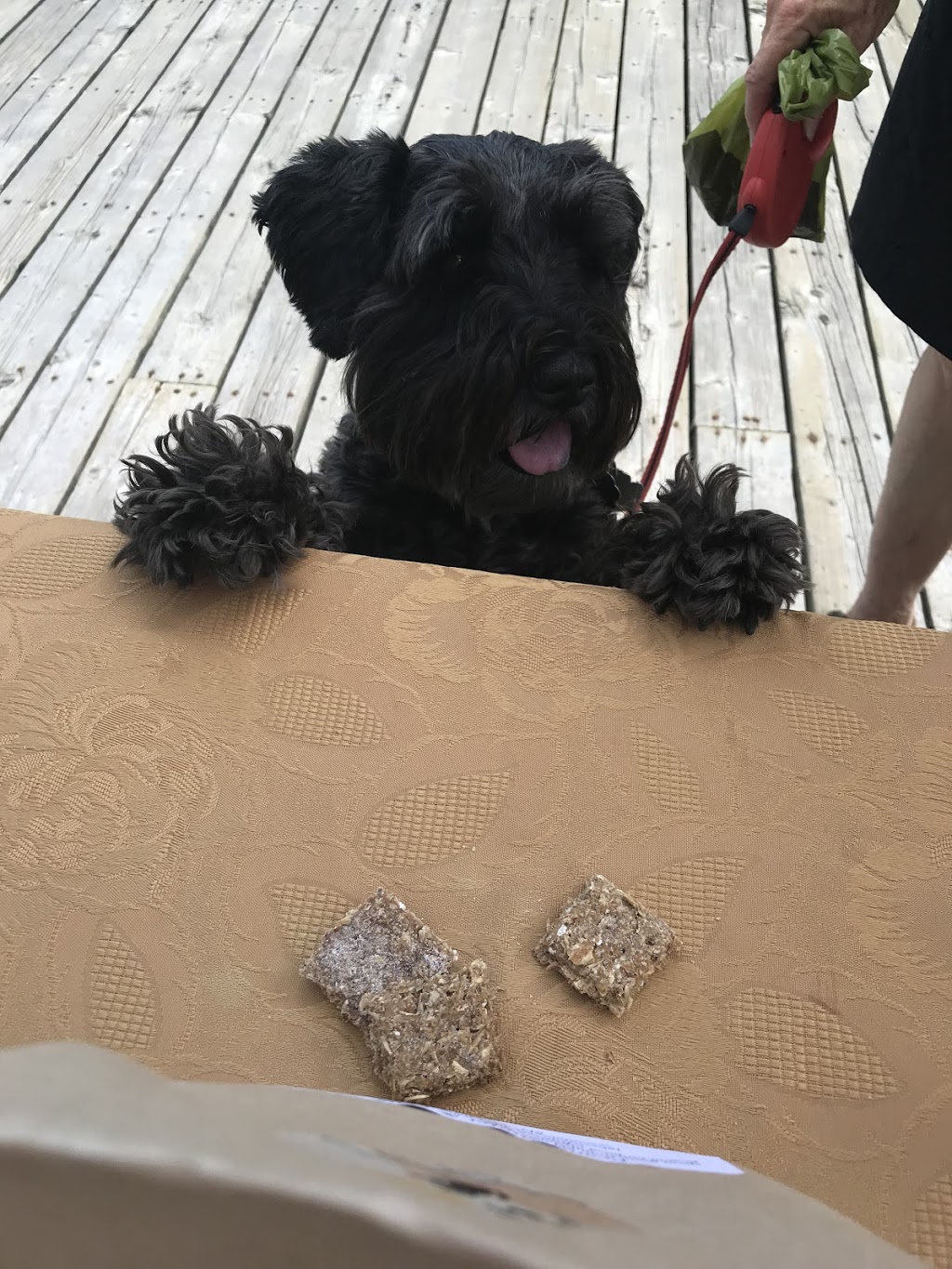 Lakeside Dog Biscuits | 1068 Woodhaven Dr Suite #1, Kingston, ON K7P 0H7, Canada | Phone: (613) 449-9013