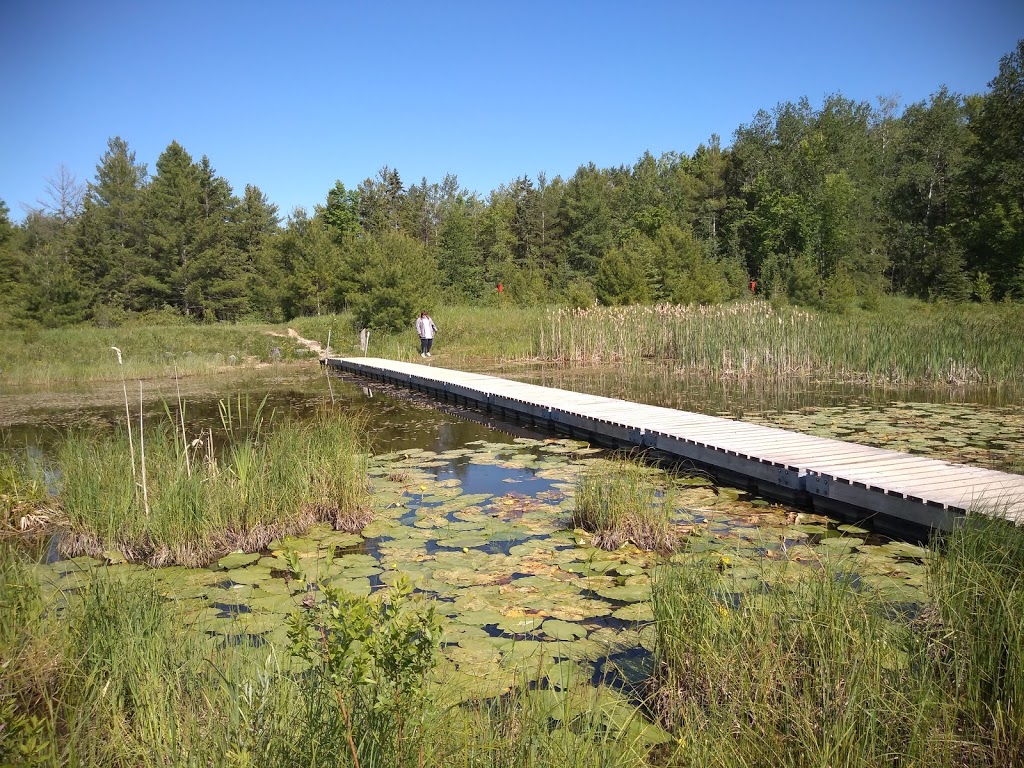 Bognor Marsh Management Area | 104277 Grey County Rd 18, Bognor, ON N0H 1E0, Canada | Phone: (519) 376-3076