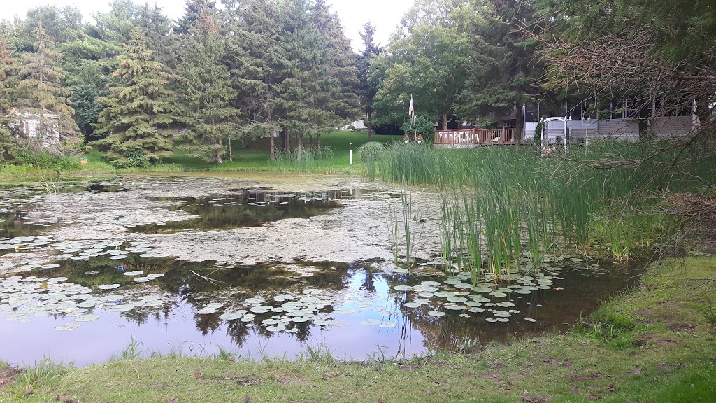 Hillside Lake Park | 673 Brant-Waterloo Rd, Ayr, ON N0B 1E0, Canada | Phone: (519) 632-7572
