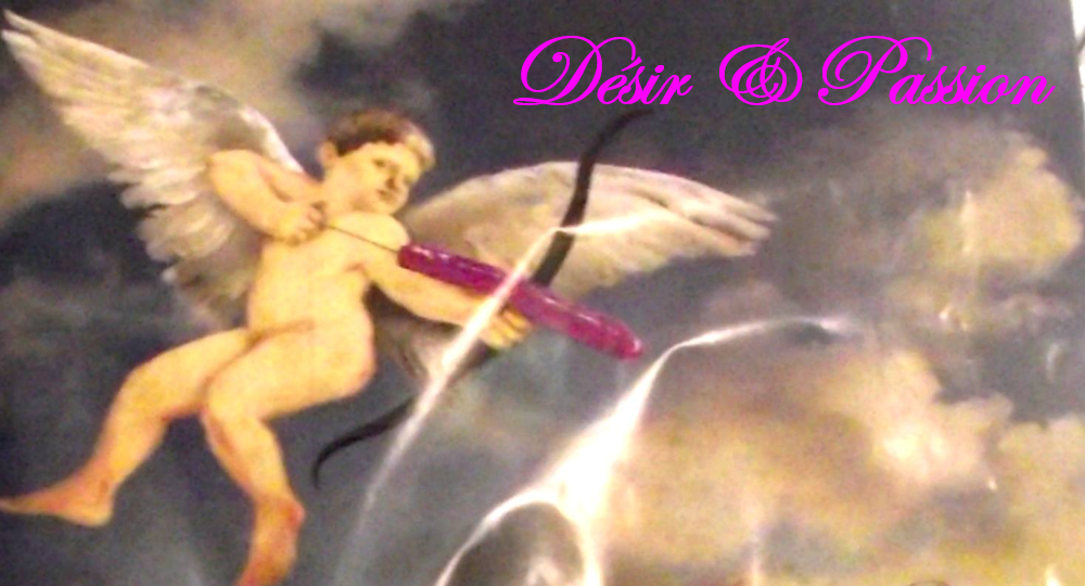 Désir & Passion : Boutique Érotique | 3565 Boulevard Taschereau #306, Saint-Hubert, QC J4T 2G2, Canada | Phone: (514) 521-3685