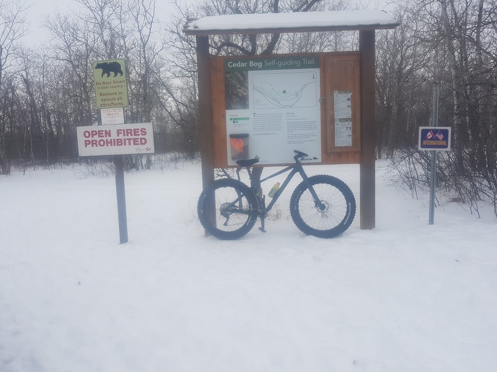 Cedar Bog Trail Trailhead | Birds Hill Rd, Springfield, MB R0E 1J0, Canada