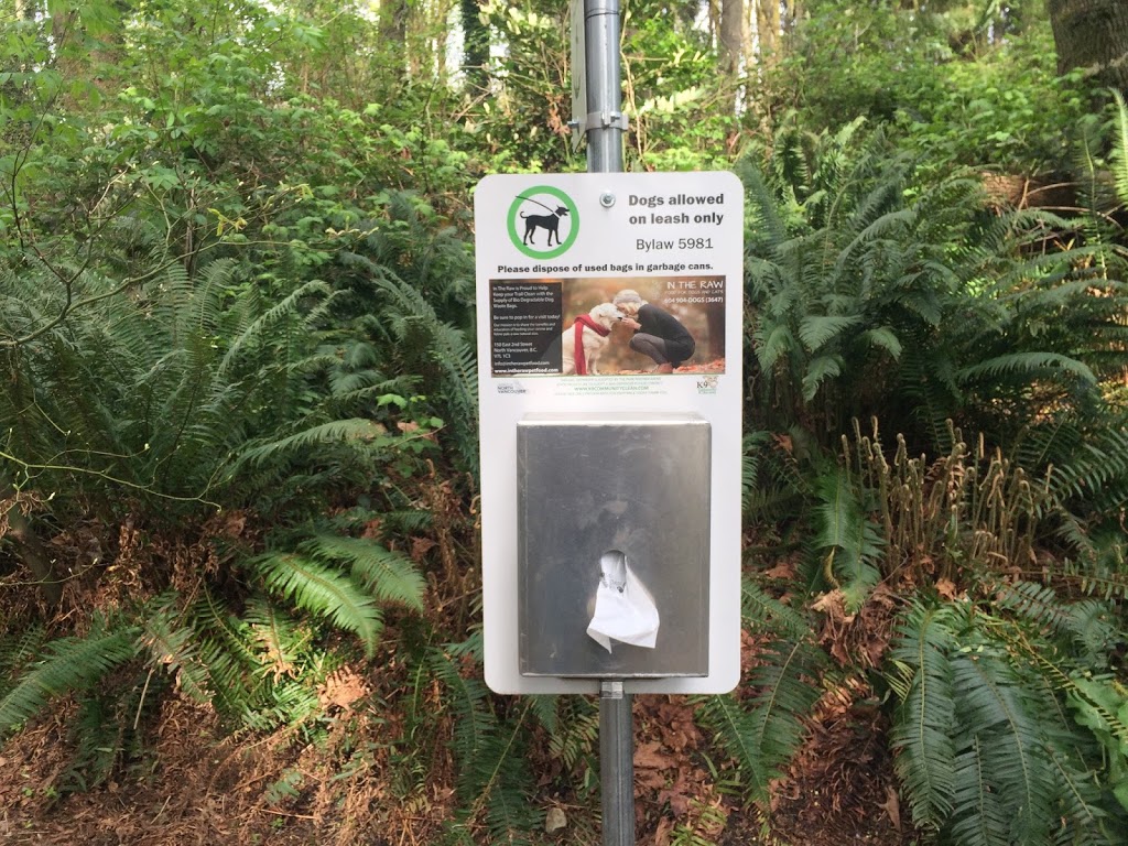 k9 Community Clean | 158 171 St, Surrey, BC V3Z 0X1, Canada | Phone: (604) 723-2116