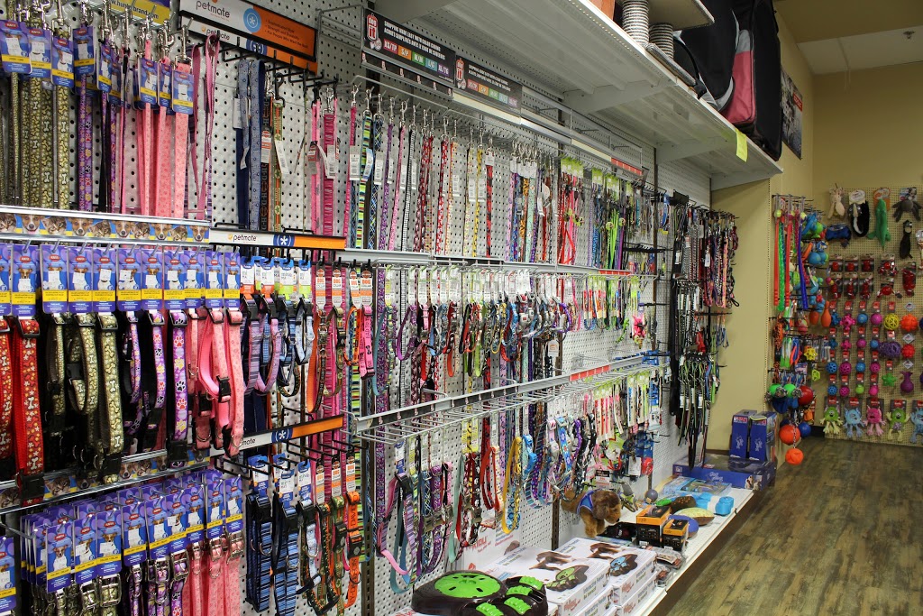 Animalerie Animazoo | 520 Boulevard Frontenac O, Thetford Mines, QC G6G 5V9, Canada | Phone: (418) 335-7645