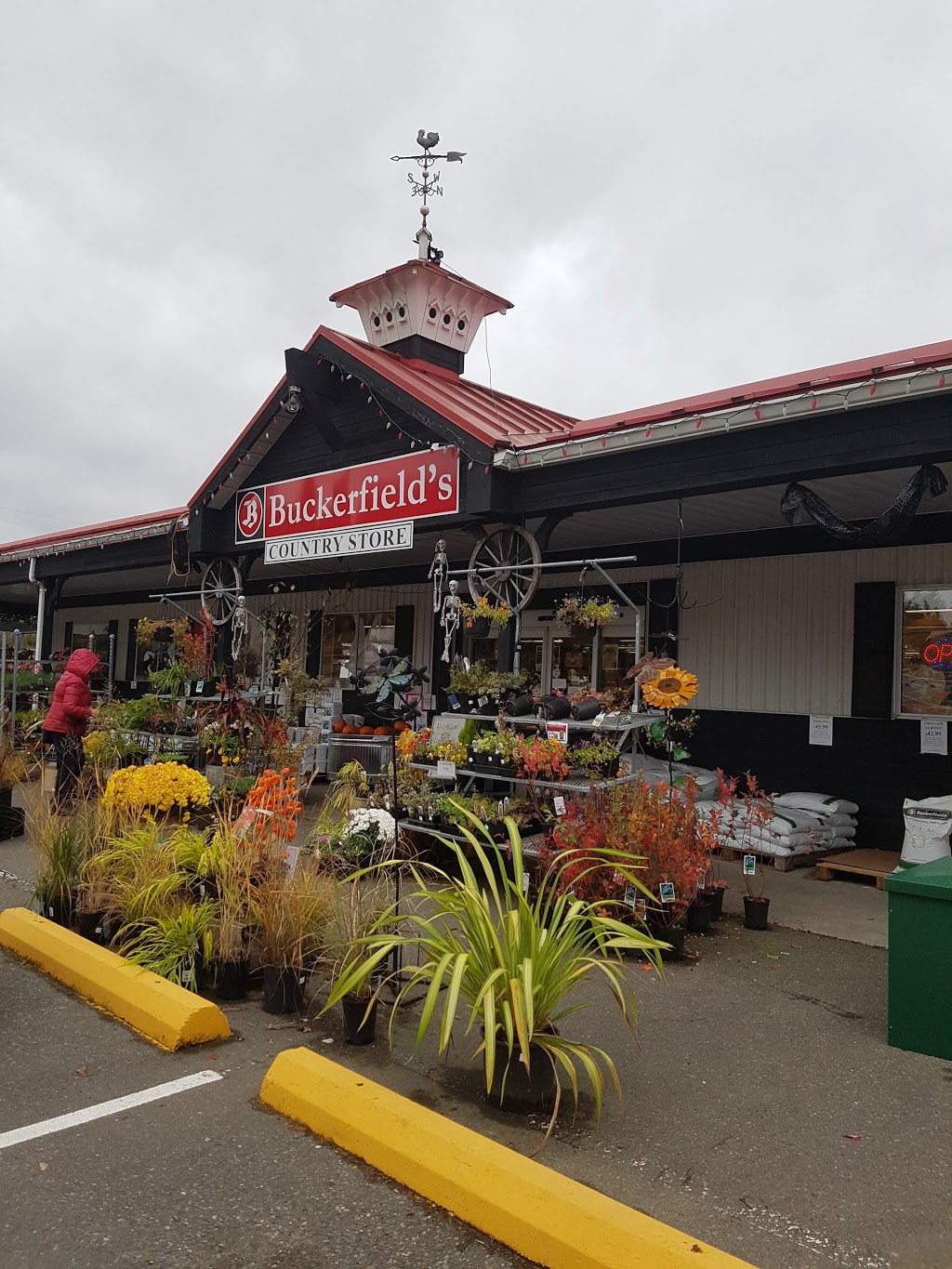 Buckerfields | 587 Alberni Hwy, Parksville, BC V9P 1J9, Canada | Phone: (250) 248-3243